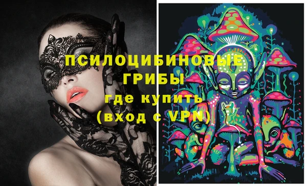 спайс Верея